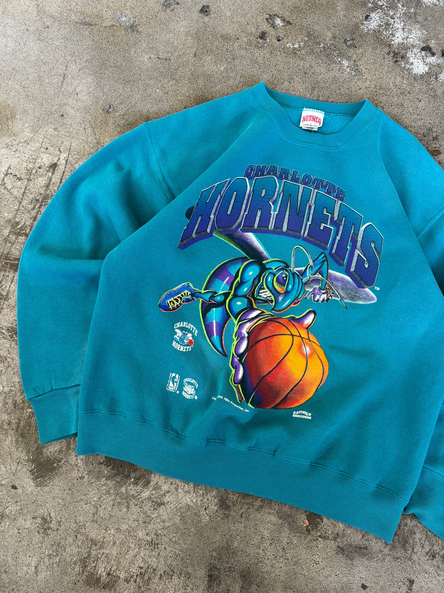 Vintage Charlotte Hornets Sweatshirt (L)