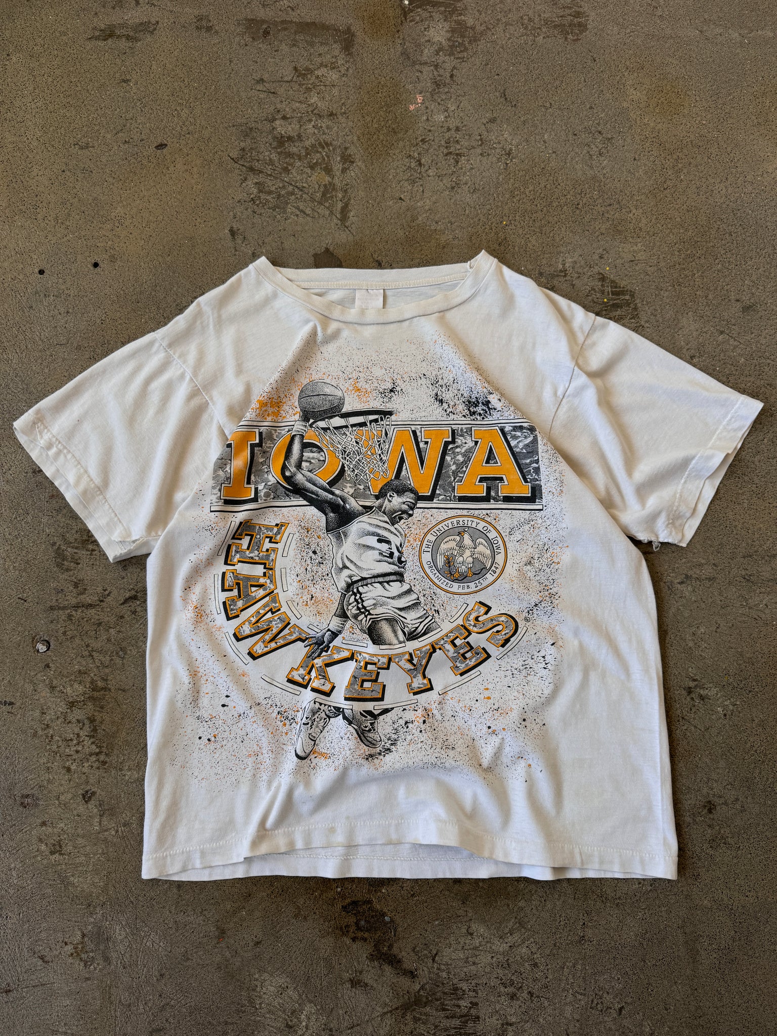 Vintage Iowa Hawkeyes T'Shirt (L)